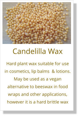Candelilla Wax Hard plant wax suitable for use in cosmetics, lip balms  & lotions. May be used as a vegan alternative to beeswax in food wraps and other applications, however it is a hard brittle wax