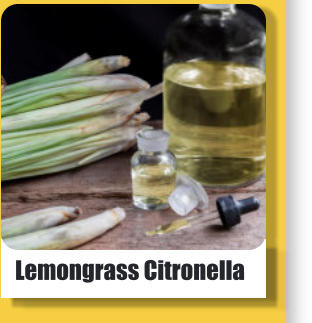 w Lemongrass Citronella
